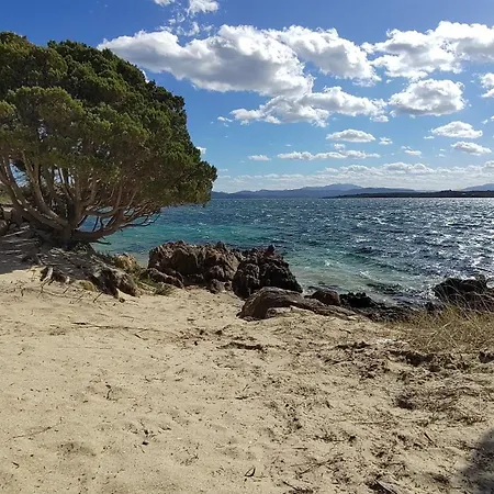 Lo Squalo With High Speed Wifi And Private Garden Сasa de vacaciones